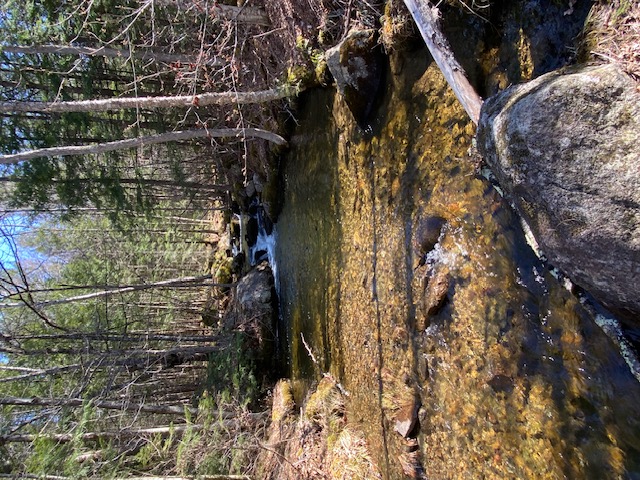 Brook 4